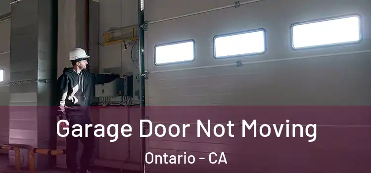  Garage Door Not Moving Ontario - CA